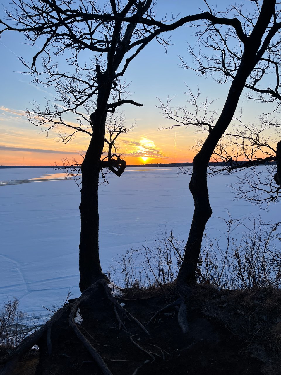 low gold sun in orange-blue sky over frozen lake with twin trees in the foreground