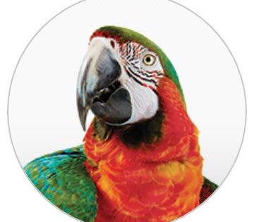 America's Open Embrace of Racism