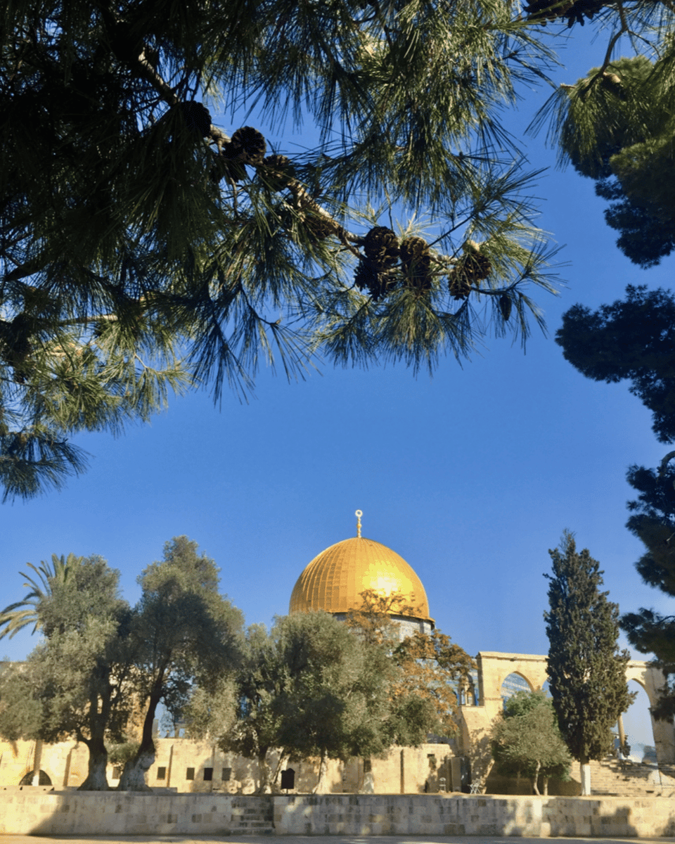 A gold architectural dome against a bright blue sky, with a sand-colored stone walls and arches of the same stone, and trees. The image is framed by branches of pine trees