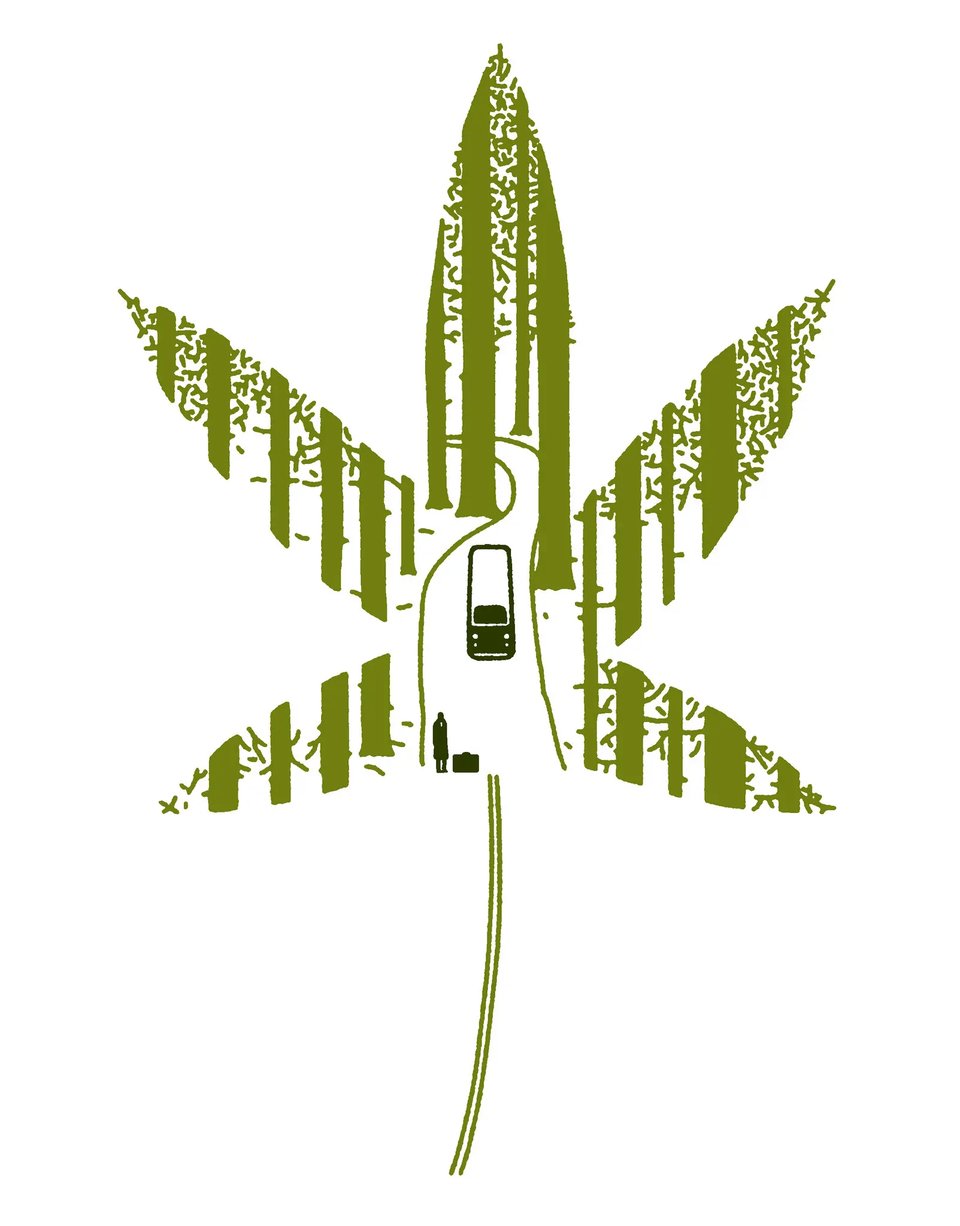 January’s column illustration, of a leaf containing an image of a woman waiting by the road for an oncoming vehicle, by the amazing Pablo Amargo