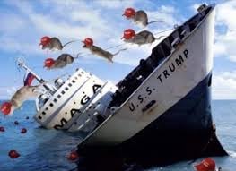 Republicans have been following a rat onto a sinking ship for a long time. Something changed their minds.