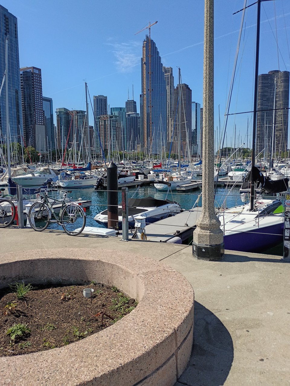 A large number of small sailboats in a harbor, with skyscrapers behind.