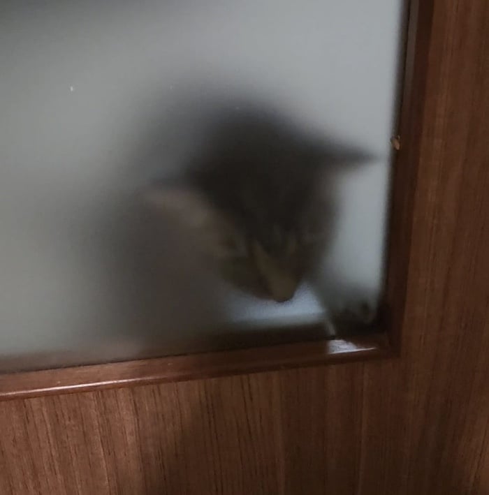 Luca's silhouette from behind a frosted glass door