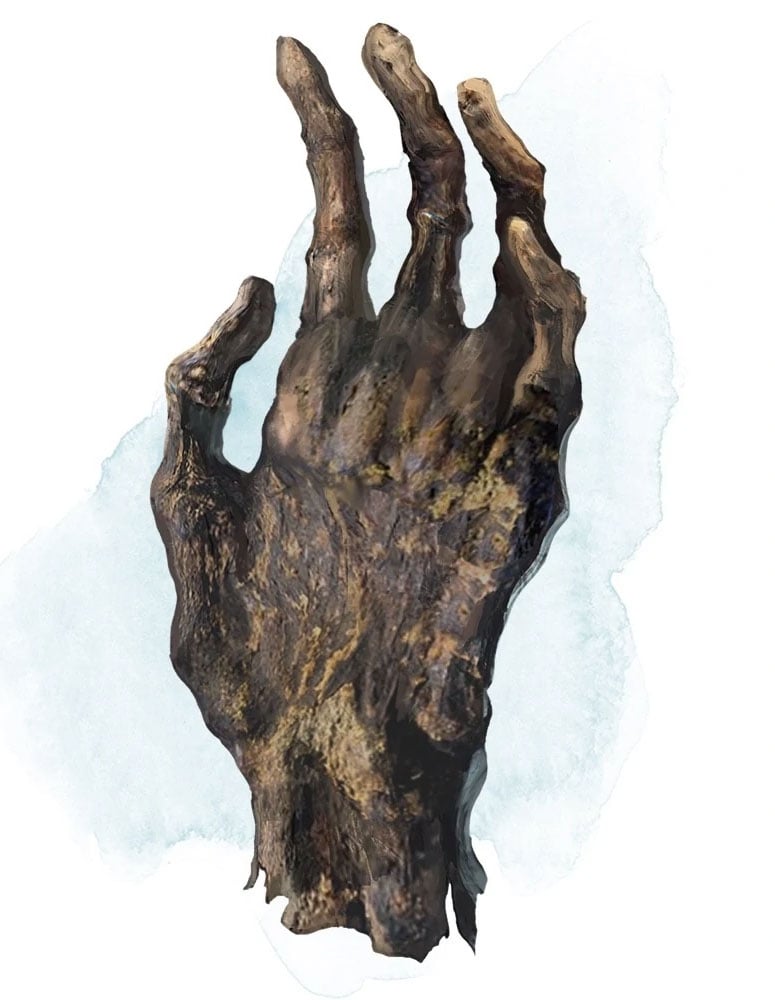 a desiccated, mummified left hand.