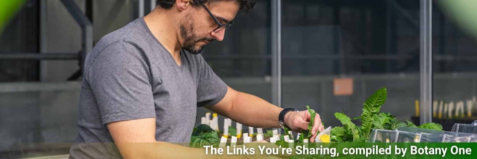 A man working with plants in a greenhouse.