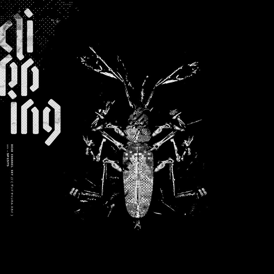 The album of Dead Channel Sky, which says "clipping" at the top left hand side. It's a picture of a cockroach against a black background