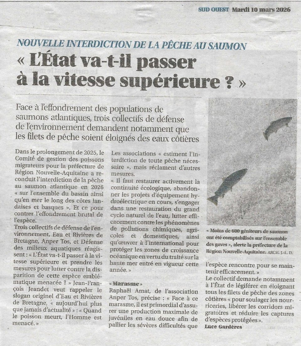 Article de presse du quotidien le Sud Ouest du 10 mars 2026 relayant le communiqué de presse des trois ONG, Eau et Rivières de Bretagne (ERB), Association Nationale pour la Protection des Eaux et Rivières-Truites-Ombres-Saumons (ANPER-TOS) et Défense des Milieux Aquatiques (DMA) appelant à éloigner les filets de pêche des trois premiers milles de la côte.
