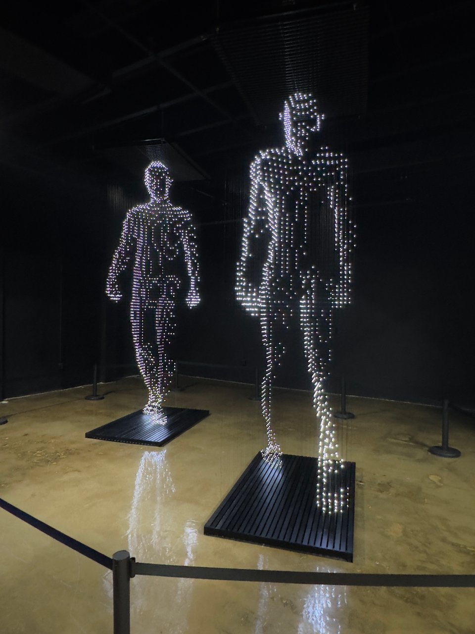 Artwork of two people created with LED lights on wire.
