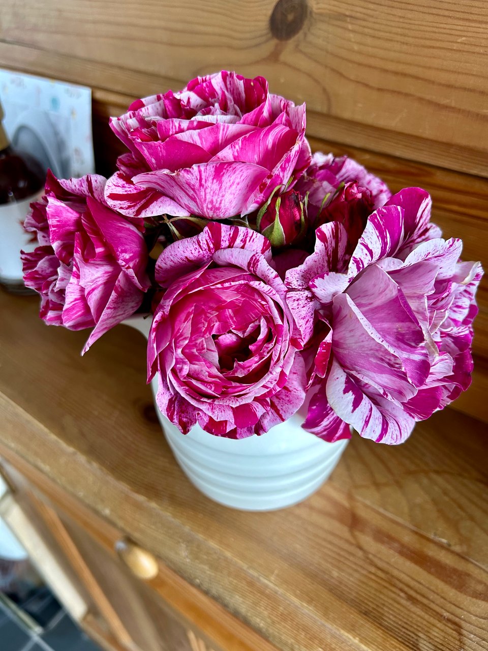 Pine Marten Post #24