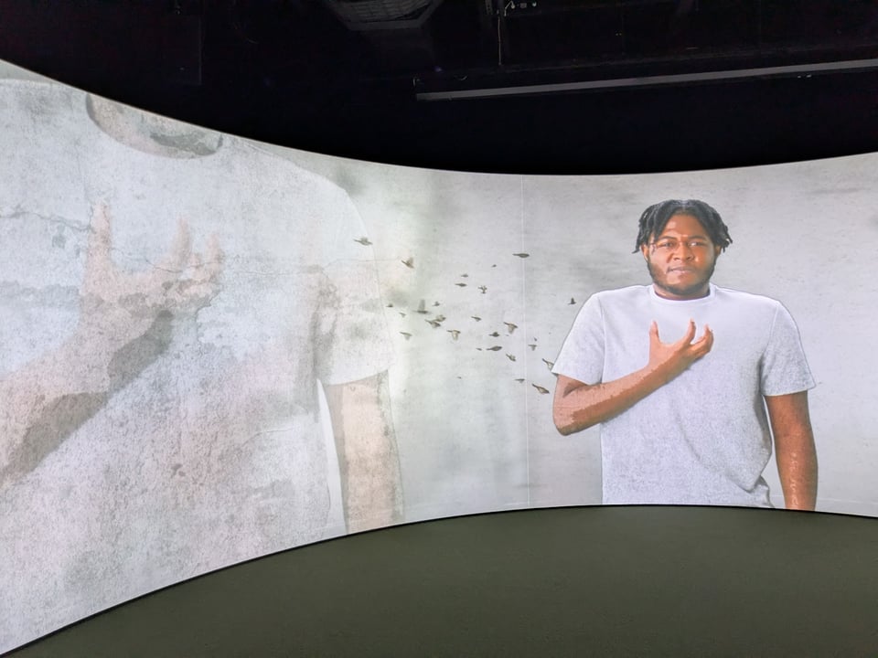 A curved screen displays a video of a Black Deaf person signing, overlaid with birds flying.