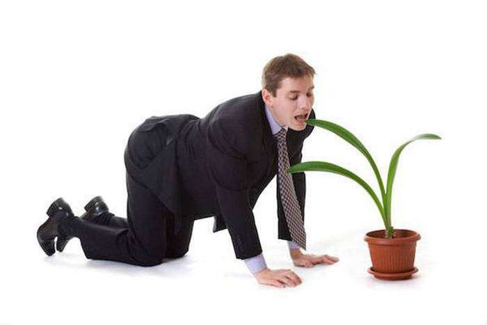 man eating plant wearing suit