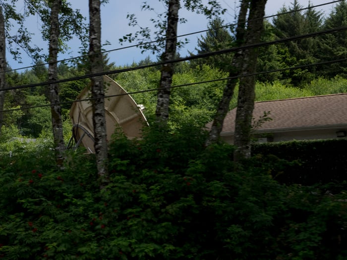 A photo taken from a car at speed so the closer shrubbery is slightly blurred and there is a sense of movement, passing an enormous satellite dish and small house both deeply surrounded and half-hidden by trees and bushes on all sides.