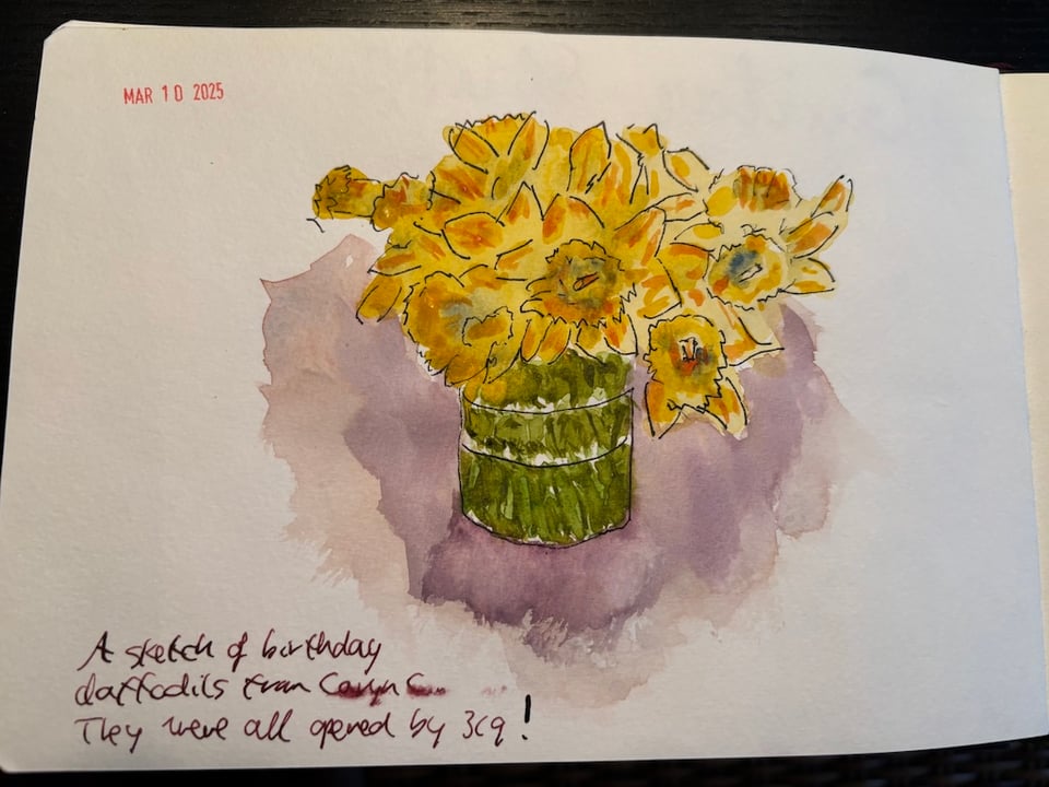 daffodils I got for my birthday