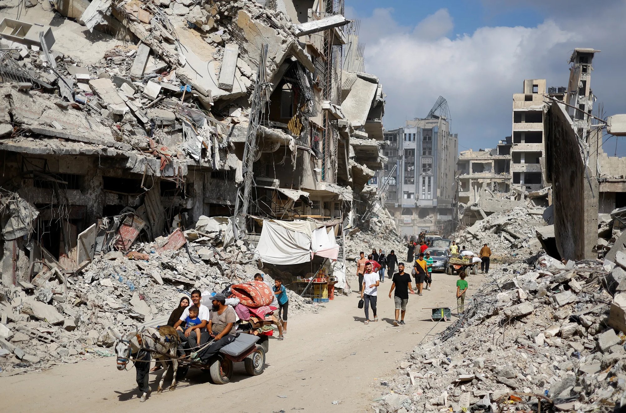 Last Week's New Yorker Review: November 4, 2024