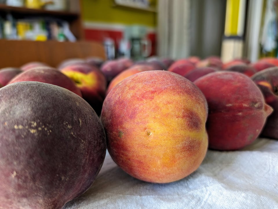 A photo of a bunch of peaches on the table next to where I'm typing this.