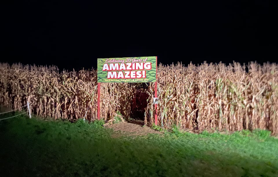 The entrance to a corn maze on a very dark night