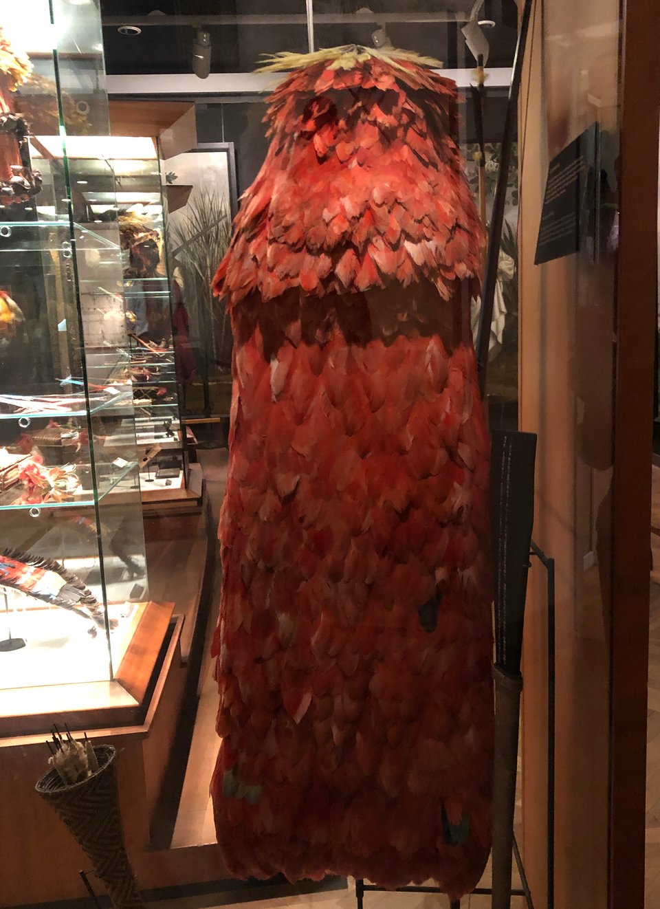 A long red feather cape. Museum objects in cases are visible at the edges of the image.