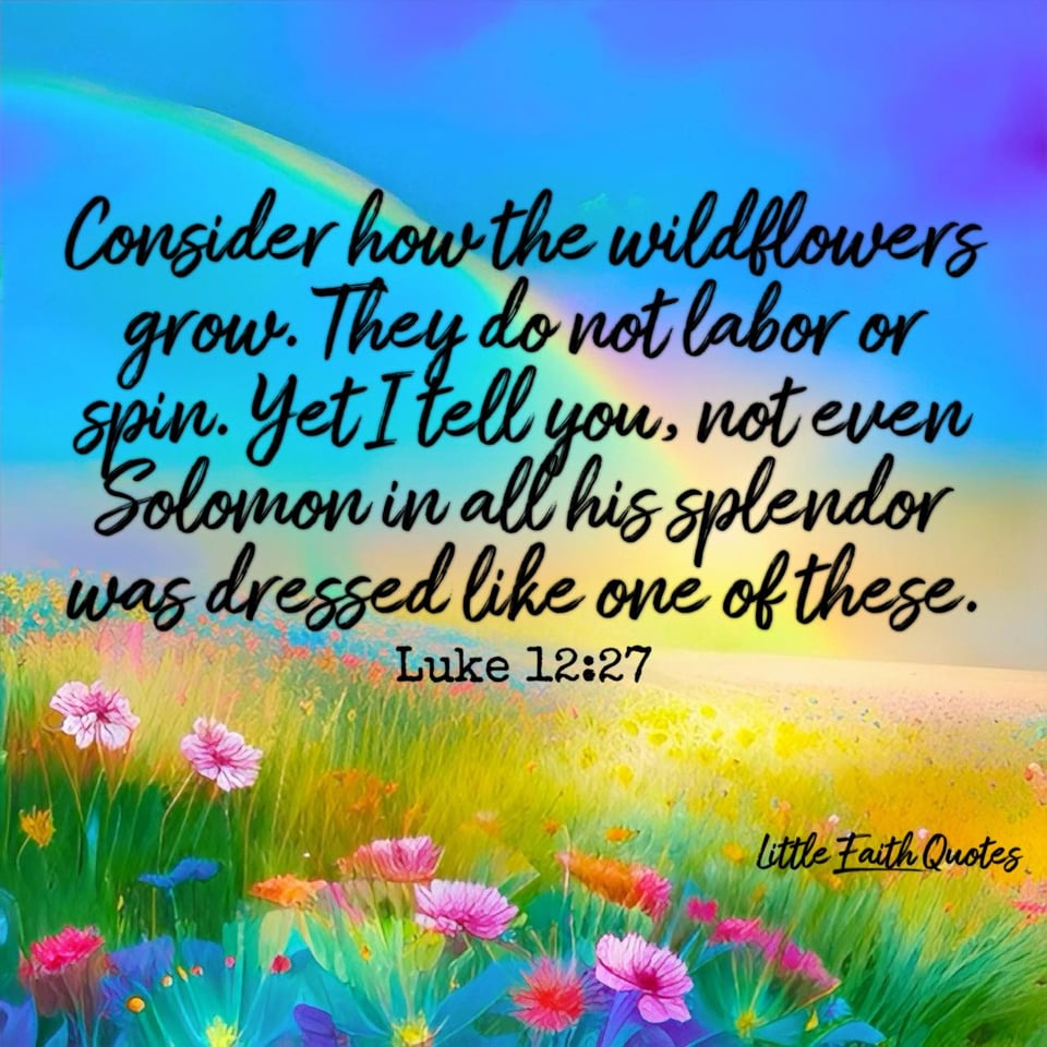 โConsider how the wildflowers grow. They do not labor or spin. Yet I tell you, not even Solomon in all his splendor was dressed like one of these." ~Luke 12:27. A rainbow soars in the blue and teal sky. A meadow of multi-colored wildflowers pops below the infinite sky. Image by: @Little Faith Quotes.