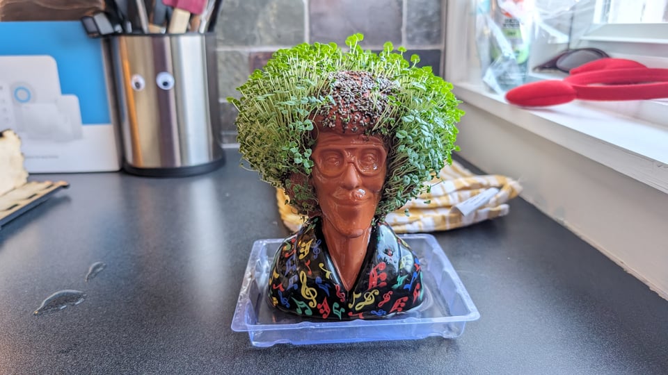 weird al chia pet