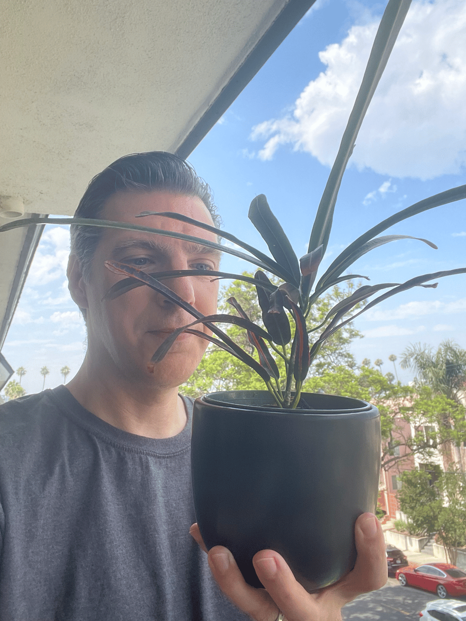 A man smiles down at a plant with long green and red leaves