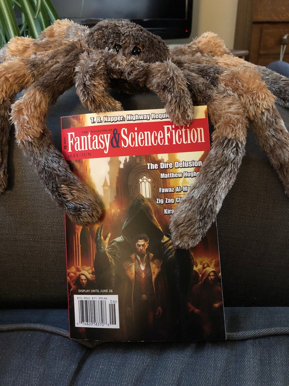 (CW: spider): George, the adorable plush tarantula, lovingly cradles the May/June issue of F&SF on the arm of my couch. I didn't make the cover, alas. Next time!