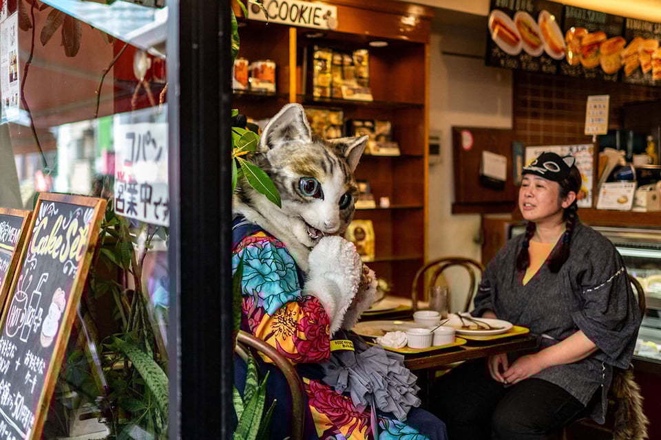 A person dressed in a cat costume and a person wearing a cat mask sit inside a Japanese cafe