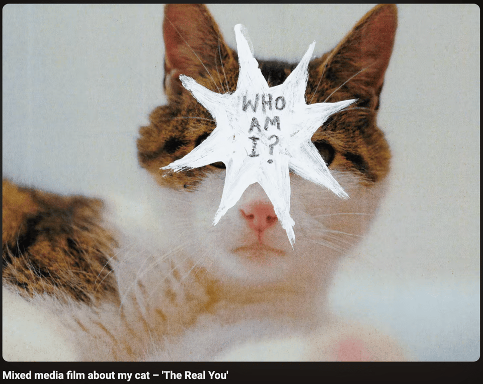 Screenshot of a Youtube video: a closeup of a cat with the words "Who am I?" superimposed in front of his face.