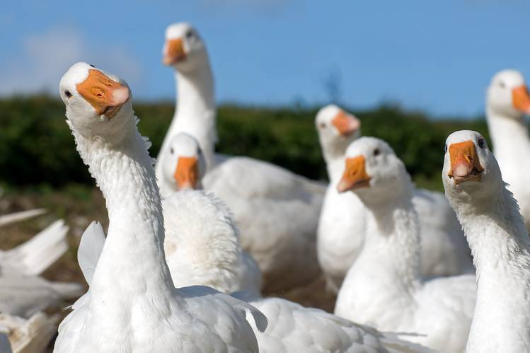 🚂 A gaggle of Train Songz updates