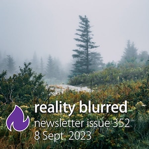 Evergreen trees in fog, and the words 'reality blurred newsletter issue 352, 8 Sept. 2023'