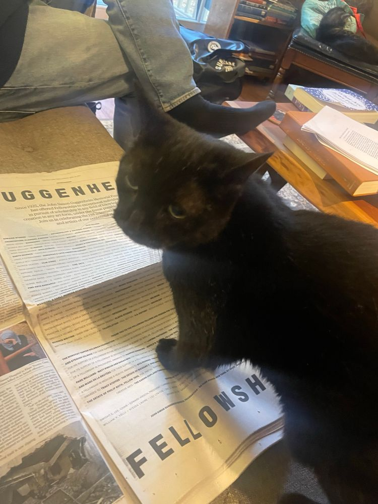 a black cat is looking to the left of the camera and stepping on a newspaper. The paper (partly blocked by the cat) says GUGGENHEIM FELLOWSHIP along with unreadable smaller text.