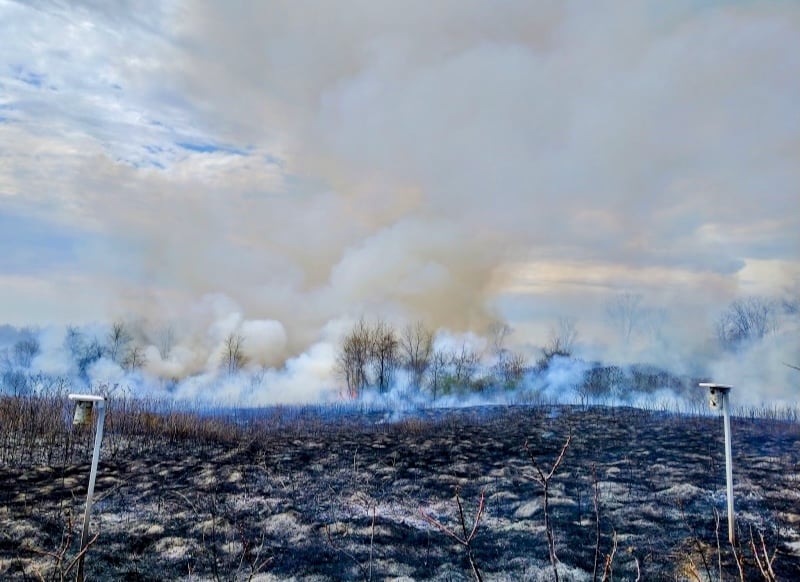 Several prescribed burns were conducted in April. According to Jake, the park got three good burns in April, dodging red flag warnings and high-wind days, for a total of about 100 acres. That’s slightly less than normal, he said, but “the quality of each burn was especially good.” Much of what was burned was sumac, which is native in the park but tends to be opportunistic and take over prairie areas. / Photo by Jake Gaster