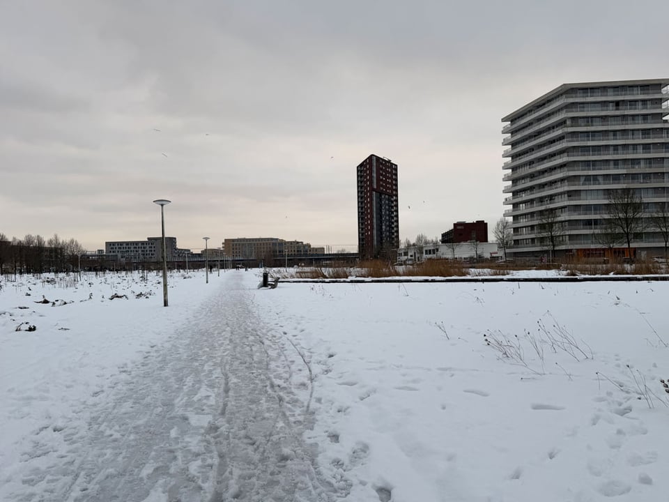 A path in the middle of a park is filled with snow. The path is trodden down.