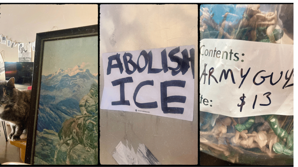 3 photos. from left to right: a gray cat sitting next to a painting of a trapper in a mountain setting; a sticker on concrete reading ABOLISH ICE; a plastic bag full of plastic Army figures with "Army guys $13" written in Sharpie.