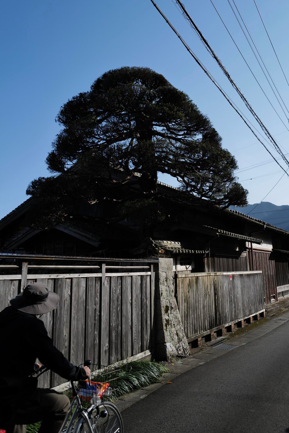 Three places left for our autumn Iseji walk