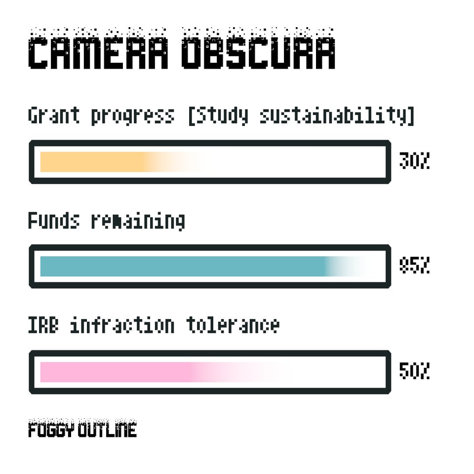 Camera Obscura from Foggy Outline. Grant progress or study sustainability thirty percent. Funds remaining 85 percent. IRB infraction tolerance fifty percent.