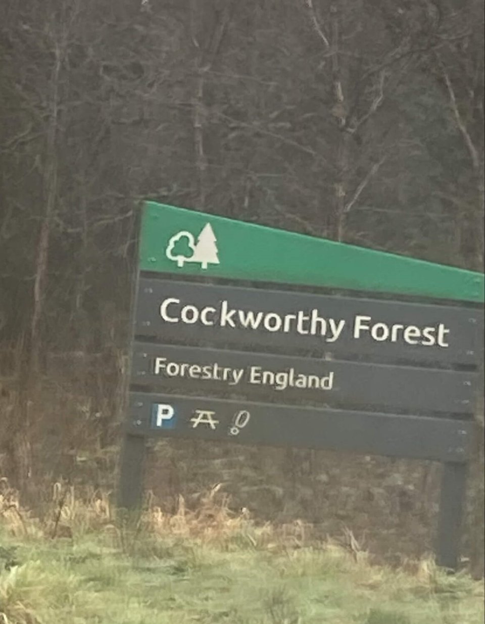 A forest sign that points to "cockworthy forest".  Never thought I'd write that in alt text.
