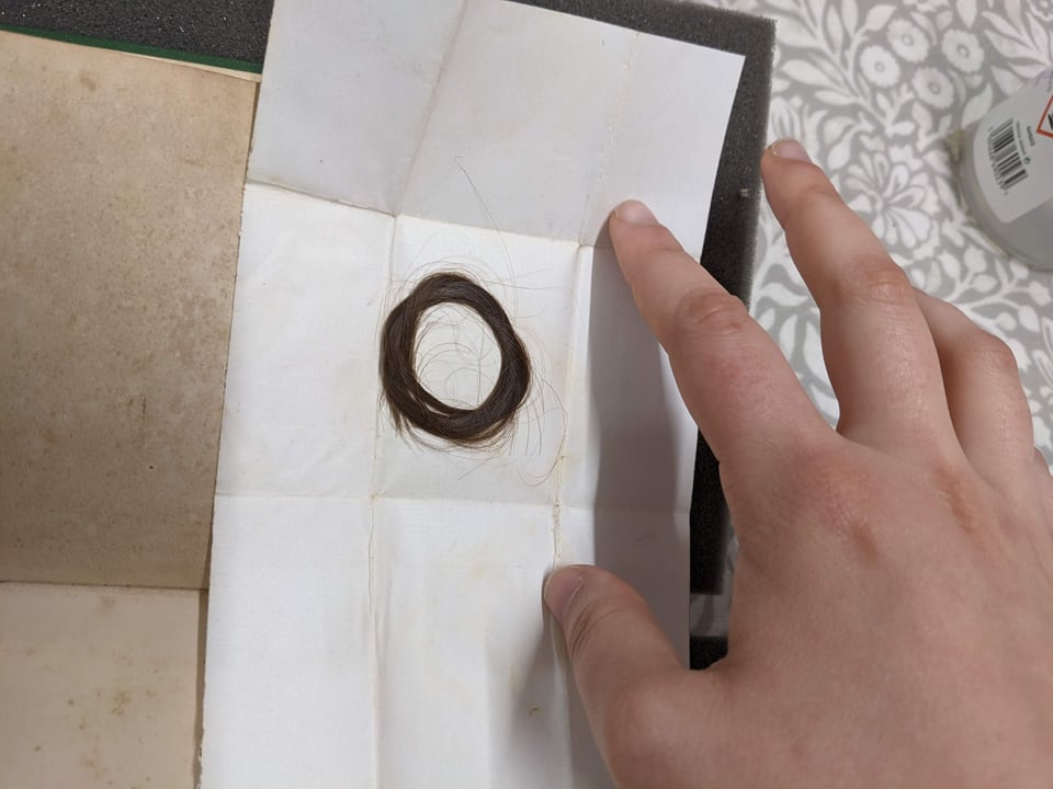 A small lock of dark brown hair forming a perfect circle. It's in a folded paper packet that Whitney is holding open.
