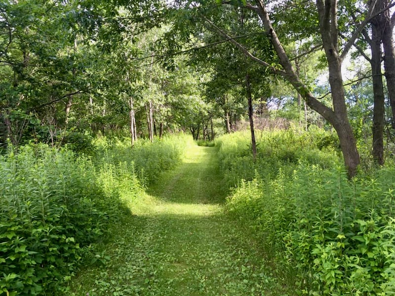 A pretty path moves from woodland to prairie just south of Point B on the park’s summer trails map. / Photo by Pamela Miller