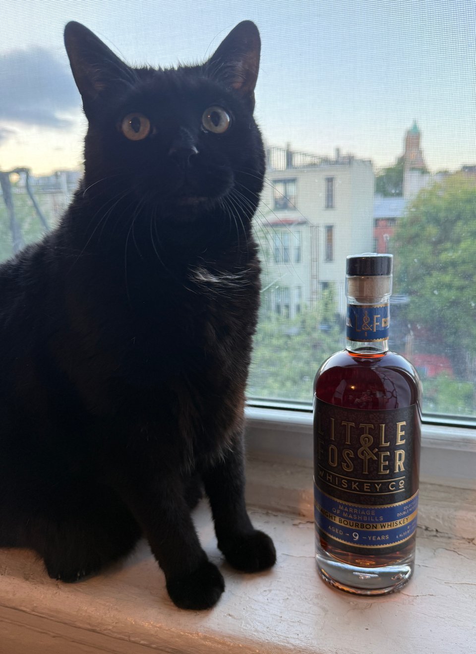 Adorable black cat on window sill with bottle of Little & Foster Marriage of Mashbills 9 Year bourbon