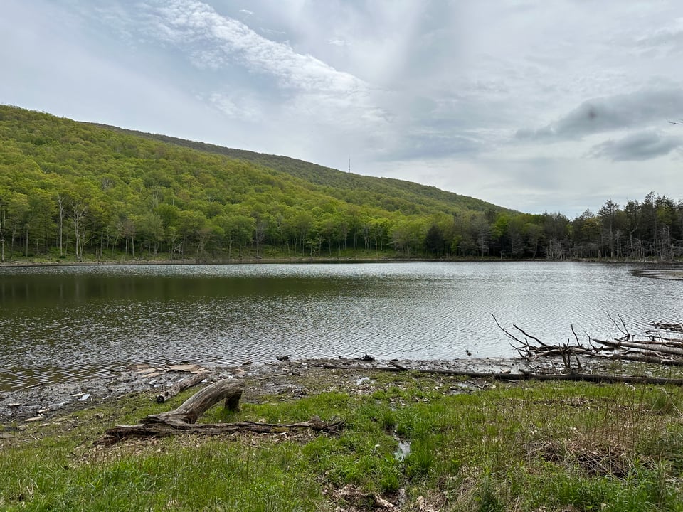 Photo of a lake by woods and hills
