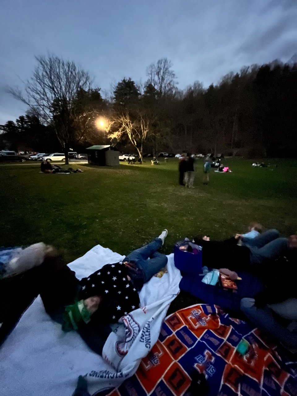 a group of people watching the eclipse in a park