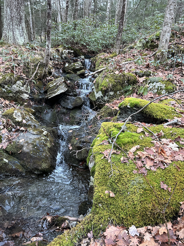 A forest waterfall with icicles and a large mossy rock in the foreground