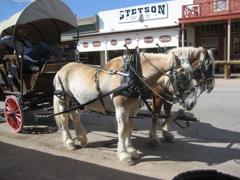 A stagecoach pulled by two light sorrel Belgians, on a Western style main street.
