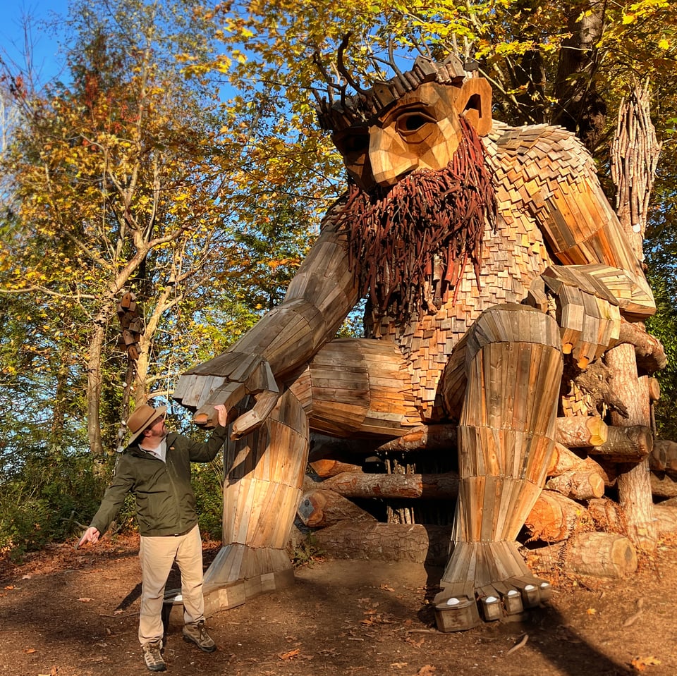 Oscar, the bird king