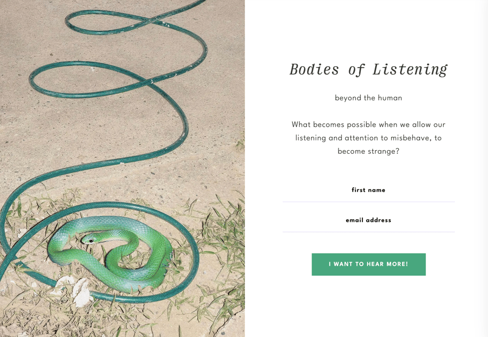 screenshot of a landing page for Bodies of Listening. Left half is an image of a looping green garden hose and a bright green garden snake coiled inside one of the loops. The right side is a name and email sign-up with a green button.