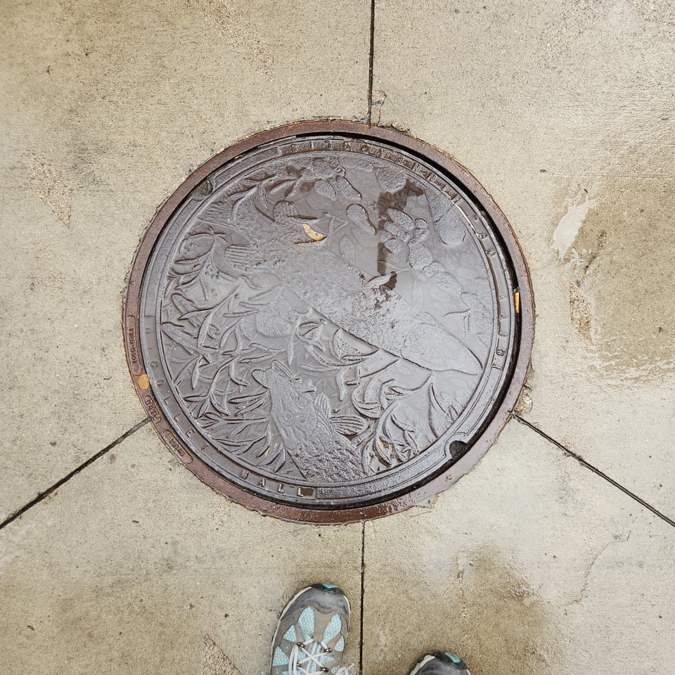 Top-down view of a manhole cover in downtown Minneapolis. The cover shows fish and aquatic foliage. One person's shoes are visible.