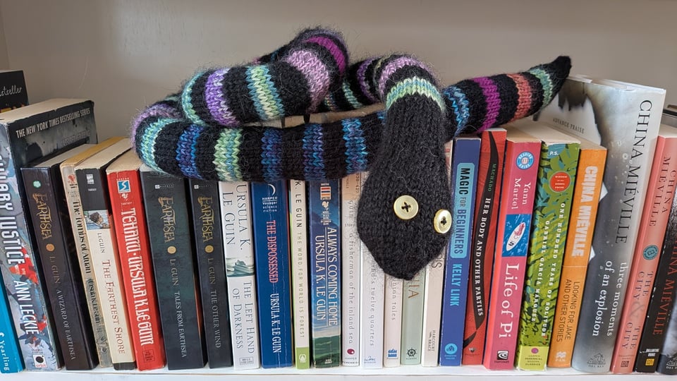 a knitted snake with many colors of stripes and button eyes is curled up on top of a bunch of books on a bookshelf