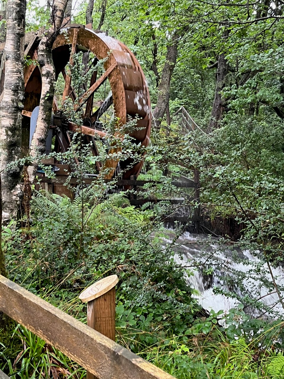 back right, a large wooden mill wheelis turning. Behind it is a forest, the mill stream in full spate runs towards the right and there is a wooden fence and brambles and fern are beyond it in the foreground