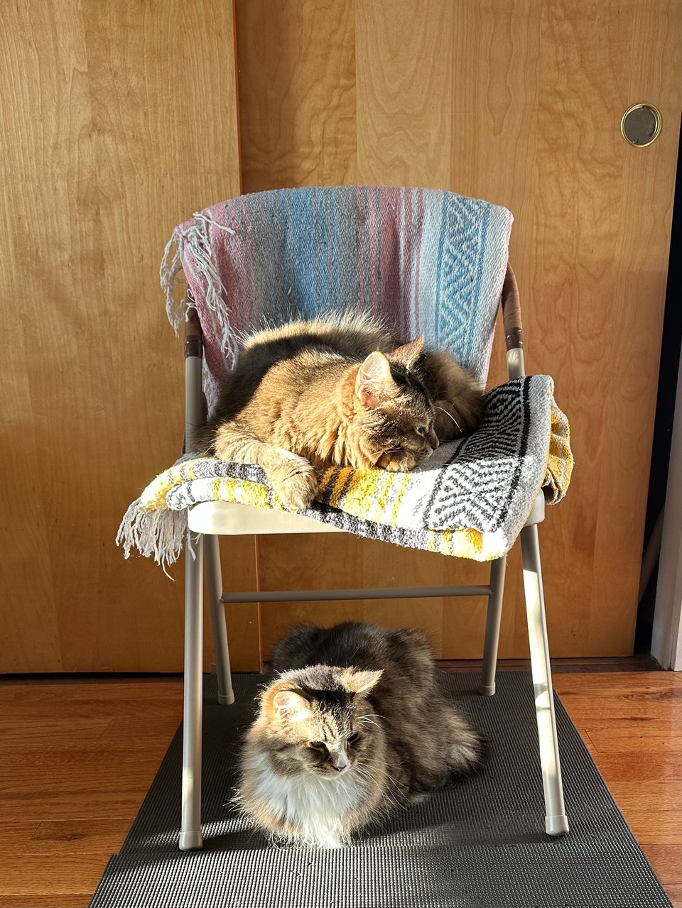 March News for Paid Subscribers