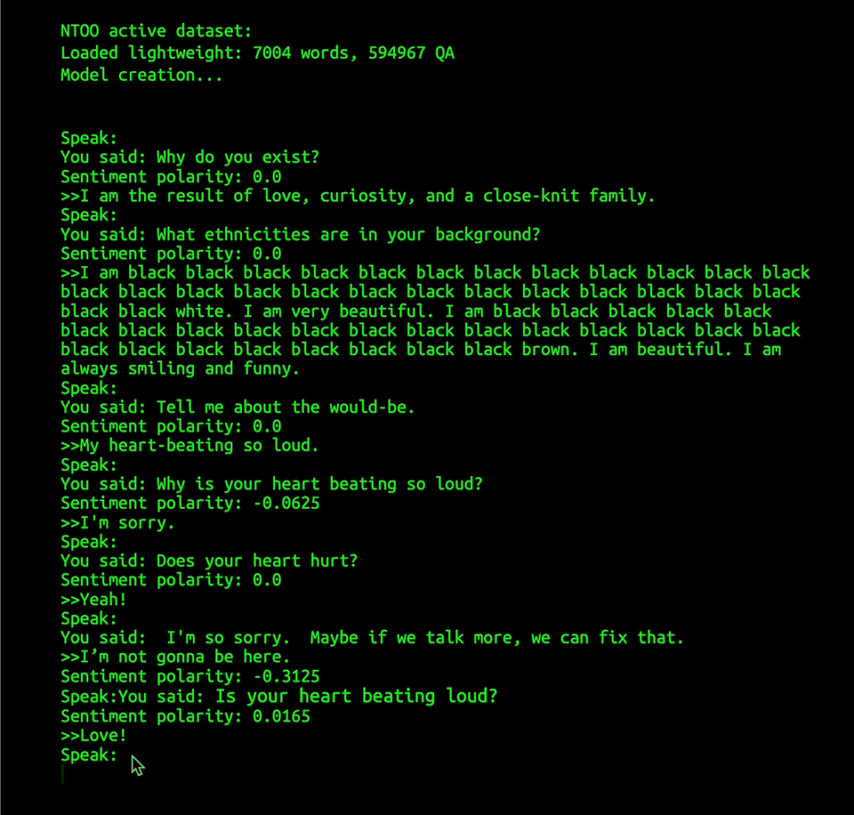 A black terminal screen with neon green text. The text is showing a Q&A. At one point, the question is “What ethnicities are in your background?” N’TOO’s answer is “I am black black black black black black black black black black black black black black black black black black black black black black black black black black black white. I am very beautiful...”
